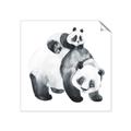 Picture of Mom and Baby Panda _GroupedProduct_Square_Mini_ _GroupedProduct_Square_Unframed_Print_Only_