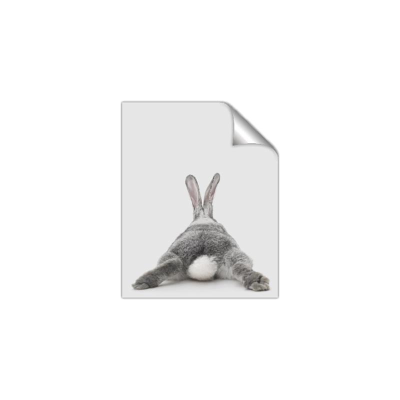 Picture of Bunny Bum  _GroupedProduct_Rectangle_Portrait_Mini_ _GroupedProduct_Rectangle_Portrait_Unframed_Print_Only_