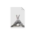 Picture of Bunny Bum  _GroupedProduct_Rectangle_Portrait_Mini_ _GroupedProduct_Rectangle_Portrait_Unframed_Print_Only_