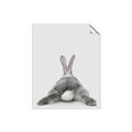 Picture of Bunny Bum  _GroupedProduct_Rectangle_Portrait_Mini_ _GroupedProduct_Rectangle_Portrait_Unframed_Print_Only_
