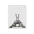 Picture of Bunny Bum  _GroupedProduct_Rectangle_Portrait_Mini_ _GroupedProduct_Rectangle_Portrait_Unframed_Print_Only_