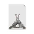Picture of Bunny Bum  _GroupedProduct_Rectangle_Portrait_Mini_ _GroupedProduct_Rectangle_Portrait_Unframed_Print_Only_