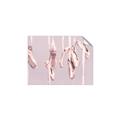 Picture of Hanging Slippers _GroupedProduct_Rectangle_Landscape_Mini_ _GroupedProduct_Rectangle_Landscape_Unframed_Print_Only_