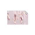Picture of Hanging Slippers _GroupedProduct_Rectangle_Landscape_Mini_ _GroupedProduct_Rectangle_Landscape_Unframed_Print_Only_
