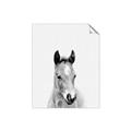 Picture of Cute Little Foal  _GroupedProduct_Rectangle_Portrait_Mini_ _GroupedProduct_Rectangle_Portrait_Unframed_Print_Only_