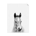Picture of Cute Little Foal  _GroupedProduct_Rectangle_Portrait_Mini_ _GroupedProduct_Rectangle_Portrait_Unframed_Print_Only_