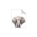 Picture of Safari Elephant _GroupedProduct_Rectangle_Portrait_Mini_ _GroupedProduct_Rectangle_Portrait_Unframed_Print_Only_