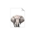 Picture of Safari Elephant _GroupedProduct_Rectangle_Portrait_Mini_ _GroupedProduct_Rectangle_Portrait_Unframed_Print_Only_