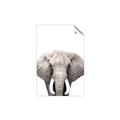 Picture of Safari Elephant _GroupedProduct_Rectangle_Portrait_Mini_ _GroupedProduct_Rectangle_Portrait_Unframed_Print_Only_