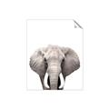 Picture of Safari Elephant _GroupedProduct_Rectangle_Portrait_Mini_ _GroupedProduct_Rectangle_Portrait_Unframed_Print_Only_