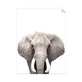 Picture of Safari Elephant _GroupedProduct_Rectangle_Portrait_Mini_ _GroupedProduct_Rectangle_Portrait_Unframed_Print_Only_