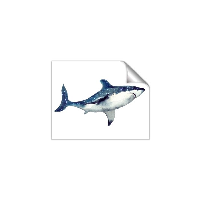 Picture of Shark Attack I   _GroupedProduct_Rectangle_Landscape_Mini_ _GroupedProduct_Rectangle_Landscape_Unframed_Print_Only_