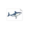 Picture of Shark Attack I   _GroupedProduct_Rectangle_Landscape_Mini_ _GroupedProduct_Rectangle_Landscape_Unframed_Print_Only_