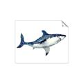 Picture of Shark Attack I   _GroupedProduct_Rectangle_Landscape_Mini_ _GroupedProduct_Rectangle_Landscape_Unframed_Print_Only_