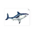 Picture of Shark Attack I   _GroupedProduct_Rectangle_Landscape_Mini_ _GroupedProduct_Rectangle_Landscape_Unframed_Print_Only_