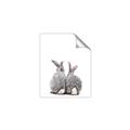 Picture of Bunny Tail  _GroupedProduct_Rectangle_Portrait_Mini_ _GroupedProduct_Rectangle_Portrait_Unframed_Print_Only_