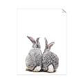 Picture of Bunny Tail  _GroupedProduct_Rectangle_Portrait_Mini_ _GroupedProduct_Rectangle_Portrait_Unframed_Print_Only_