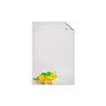 Picture of Toy Triceratops _GroupedProduct_Rectangle_Portrait_Mini_ _GroupedProduct_Rectangle_Portrait_Unframed_Print_Only_