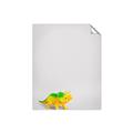Picture of Toy Triceratops _GroupedProduct_Rectangle_Portrait_Mini_ _GroupedProduct_Rectangle_Portrait_Unframed_Print_Only_