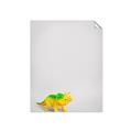 Picture of Toy Triceratops _GroupedProduct_Rectangle_Portrait_Mini_ _GroupedProduct_Rectangle_Portrait_Unframed_Print_Only_