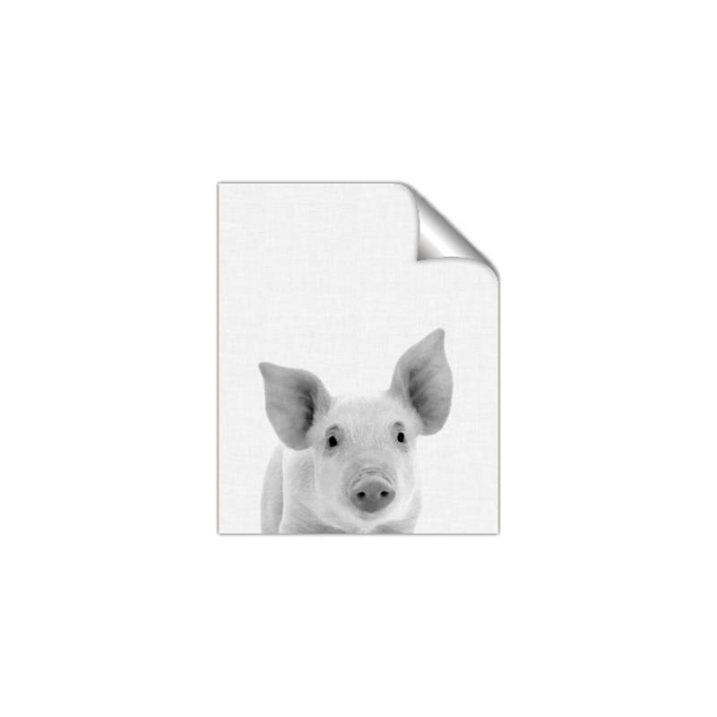 Picture of Farmhouse Pig _GroupedProduct_Rectangle_Portrait_Mini_ _GroupedProduct_Rectangle_Portrait_Unframed_Print_Only_