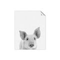 Picture of Farmhouse Pig _GroupedProduct_Rectangle_Portrait_Mini_ _GroupedProduct_Rectangle_Portrait_Unframed_Print_Only_