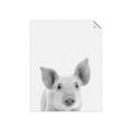 Picture of Farmhouse Pig _GroupedProduct_Rectangle_Portrait_Mini_ _GroupedProduct_Rectangle_Portrait_Unframed_Print_Only_