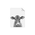Picture of Cute Little Calf _GroupedProduct_Rectangle_Portrait_Mini_ _GroupedProduct_Rectangle_Portrait_Unframed_Print_Only_