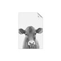 Picture of Cute Little Calf _GroupedProduct_Rectangle_Portrait_Mini_ _GroupedProduct_Rectangle_Portrait_Unframed_Print_Only_