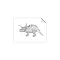 Picture of Baby Dino II _GroupedProduct_Rectangle_Landscape_Mini_ _GroupedProduct_Rectangle_Landscape_Unframed_Print_Only_