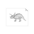 Picture of Baby Dino II _GroupedProduct_Rectangle_Landscape_Mini_ _GroupedProduct_Rectangle_Landscape_Unframed_Print_Only_
