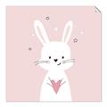 Picture of Pinky Bunny _GroupedProduct_Square_Mini_ _GroupedProduct_Square_Unframed_Print_Only_
