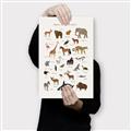 Picture of Animal Alphabet _GroupedProduct_Rectangle_Portrait_Canvas_