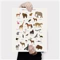 Picture of Animal Alphabet _GroupedProduct_Rectangle_Portrait_Canvas_