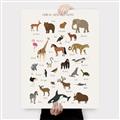 Picture of Animal Alphabet _GroupedProduct_Rectangle_Portrait_Canvas_