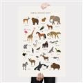 Picture of Animal Alphabet _GroupedProduct_Rectangle_Portrait_Canvas_