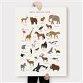 Picture of Animal Alphabet _GroupedProduct_Rectangle_Portrait_Canvas_