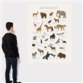 Picture of Animal Alphabet _GroupedProduct_Rectangle_Portrait_Canvas_