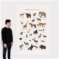 Picture of Animal Alphabet _GroupedProduct_Rectangle_Portrait_Canvas_