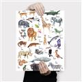 Picture of Animals of the World Alphabet      _GroupedProduct_Rectangle_Portrait_Canvas_