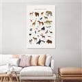 Picture of Animal Alphabet _GroupedProduct_Rectangle_Portrait_Canvas_