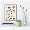 Picture of Animal Alphabet _GroupedProduct_Rectangle_Portrait_Canvas_Framed_