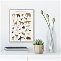 Picture of Animal Alphabet _GroupedProduct_Rectangle_Portrait_Canvas_Framed_