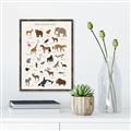 Picture of Animal Alphabet _GroupedProduct_Rectangle_Portrait_Canvas_Framed_