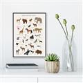 Picture of Animal Alphabet _GroupedProduct_Rectangle_Portrait_Canvas_Framed_