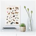 Picture of Animal Alphabet _GroupedProduct_Rectangle_Portrait_Unframed_Print_Only_