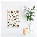 Picture of Animal Alphabet _GroupedProduct_Rectangle_Portrait_Unframed_Print_Only_