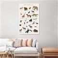 Picture of Animal Alphabet _GroupedProduct_Rectangle_Portrait_Unframed_Print_Only_