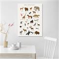 Picture of Animal Alphabet _GroupedProduct_Rectangle_Portrait_Unframed_Print_Only_