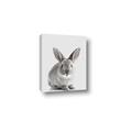 Picture of Button, the Bunny _GroupedProduct_Rectangle_Portrait_Canvas_